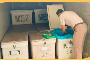 Tembus Pasar Malaysia, 1,3 Ton Udang Vaname Kalbar Resmi Diekspor Lewat PLBN Entikong