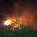 Kalbar Masuki Fase Kering, Polda Imbau Masyarakat Tak Bakar Lahan Selama Januari