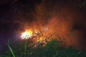 Kalbar Masuki Fase Kering, Polda Imbau Masyarakat Tak Bakar Lahan Selama Januari