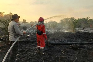 Cegah Api Meluas ke Pemukiman, Tim Gabungan Berjibaku Jinakkan Titik Api di Simpang Hilir