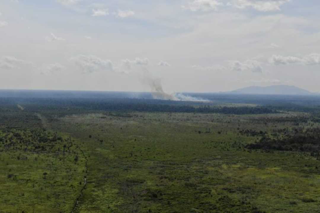 Titik Api Terdeteksi di Hutan Produksi Pulau Maya, Tim Gabungan Terjang Medan Berat demi Ground Check