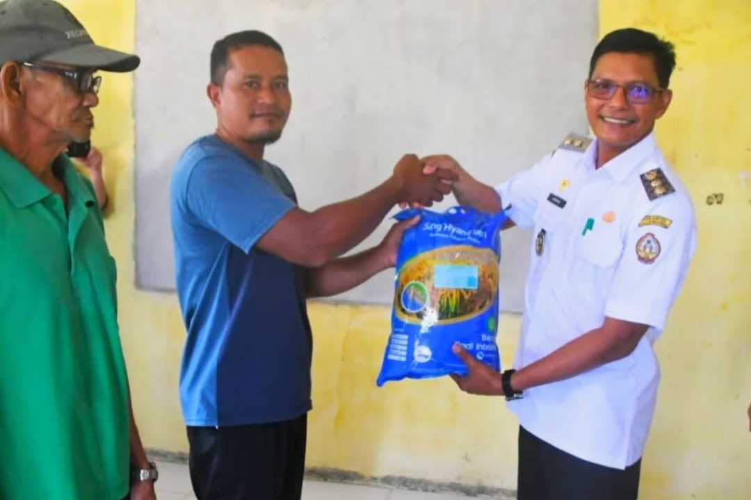 Pemkab Kayong Utara Salurkan Bantuan Benih Padi untuk 551 Hektare Sawah Dampak Banjir Rob